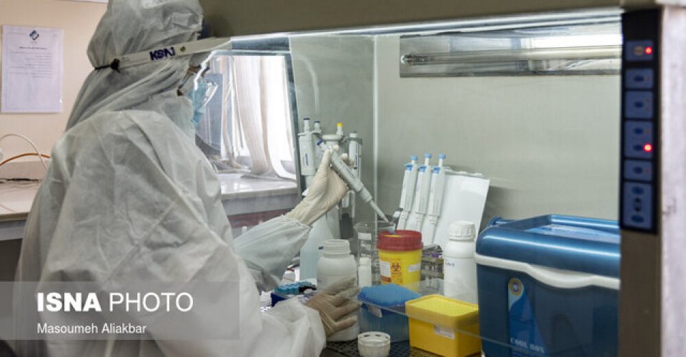 فعالیت۱۱ آزمایشگاه مرجع کشوری در انستیتو پاستور ایران / طراحی کیت‌های تشخیصی بیماری‌های عفونی